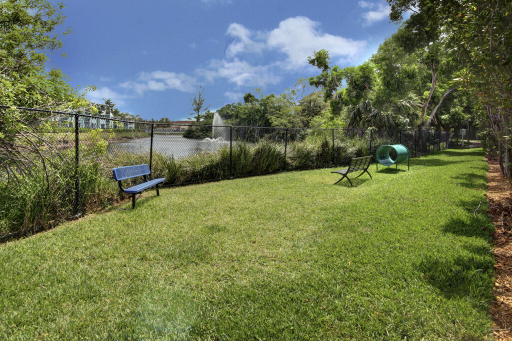 Fenced dog park by the pond